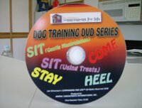 5 behavior dog training dvd